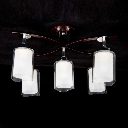 Спот Citilux Фортуна CL156152