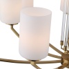 Подвесная люстра ST Luce Opalus SL1403.303.06