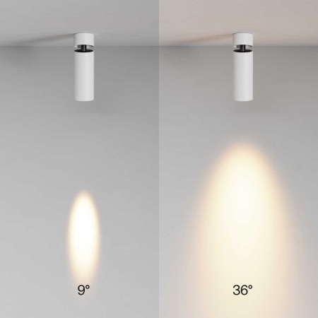 Потолочный светильник Maytoni Technical C055CL-L12W2.7K-SS-W