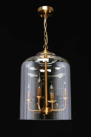 Подвесная люстра Aployt Polin APL.603.06.06