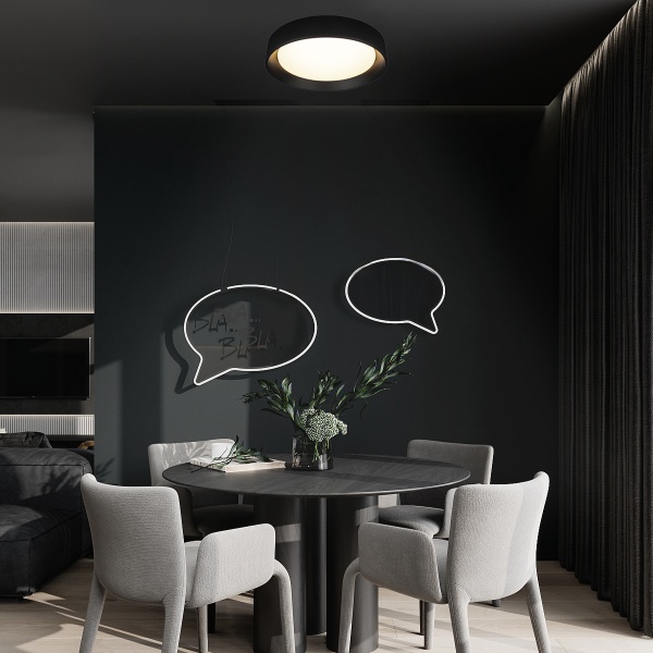 Потолочный светильник Loft it Coin 10202 BB