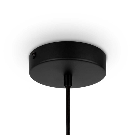 Подвесной светильник Maytoni Roots MOD193PL-01W