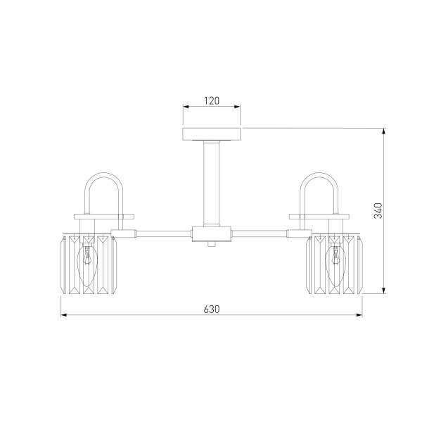 Потолочная люстра Eurosvet Tenia 70090/5 черный