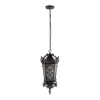 Уличный подвесной светильник Loft IT Tremezzo 100019P BS