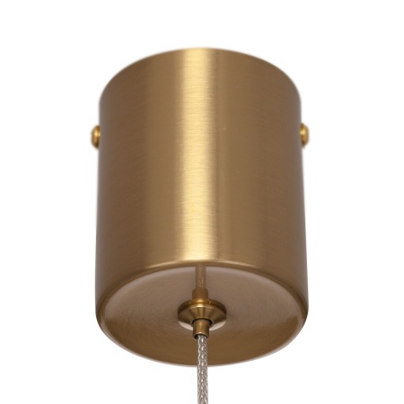 Подвесной светильник Citilux Tanna CL253010