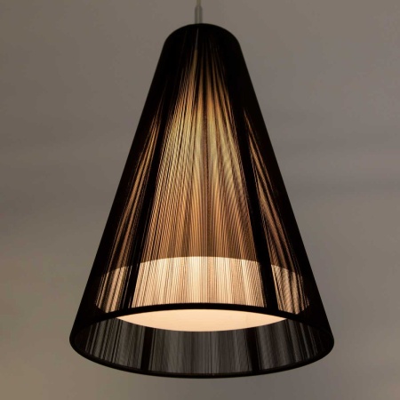 Подвесной светильник Citilux Черный CL936008