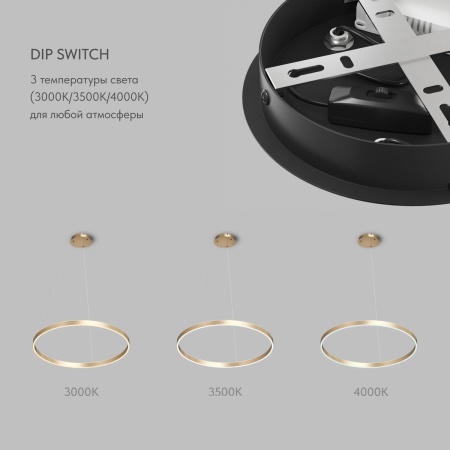 Подвесной светодиодный светильник Denkirs Raydia DK6273-SG