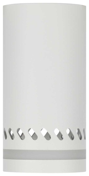 Настенно-потолочный светильник ЭРА OL50 WH Б0059802