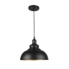 Подвесной светильник Seven Fires Tramin WD3502/1P-BK-GD