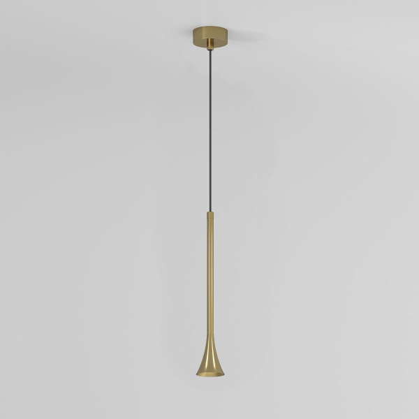 Подвесной светодиодный светильник Elektrostandard Hall 50314 LED a068821