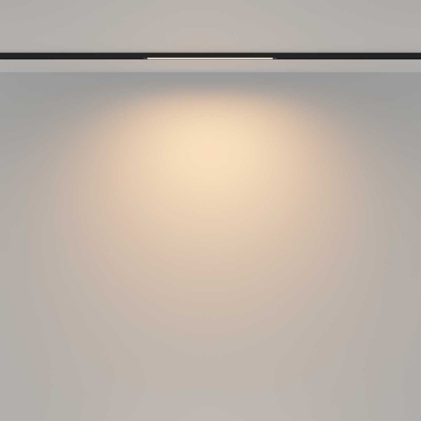 Трековый светильник Maytoni Technical TR173-1-8WTW-B