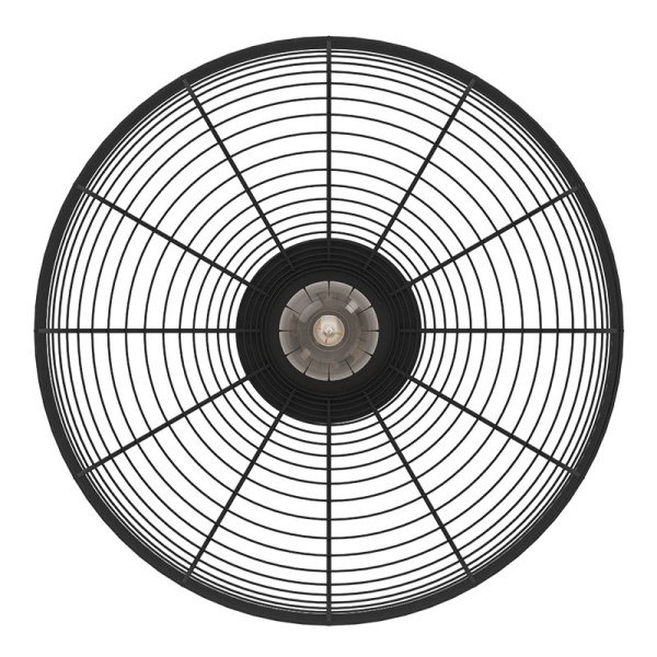 Потолочный светильник Eglo Rinroe 43896