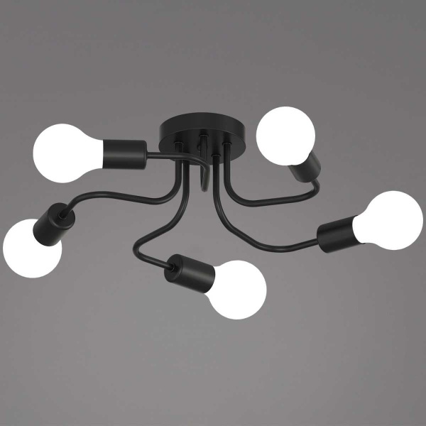 Светильник потолочный Reluce 01728-0.3-05 BK