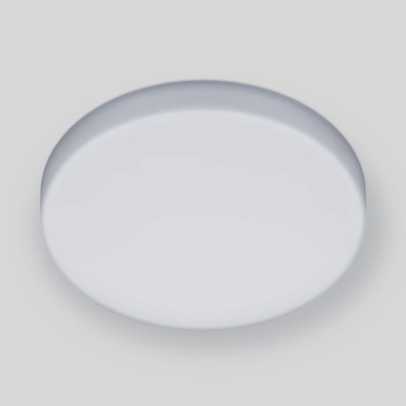 Потолочный светодиодный светильник Elektrostandard DLR043 10W 4200K a047940