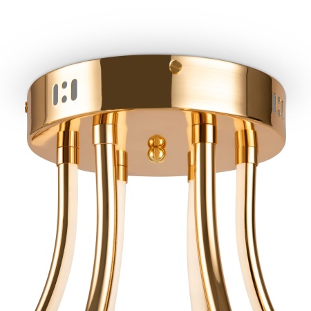 Потолочная светодиодная люстра Freya Crosby FR6044CL-L114G