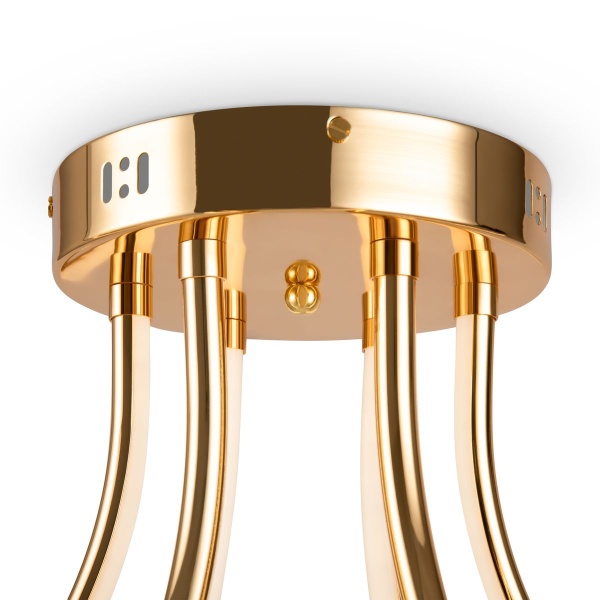 Потолочная светодиодная люстра Freya Crosby FR6044CL-L114G