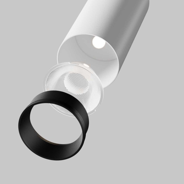 Потолочный светильник Maytoni Technical C055CL-L12W3K-SS-W