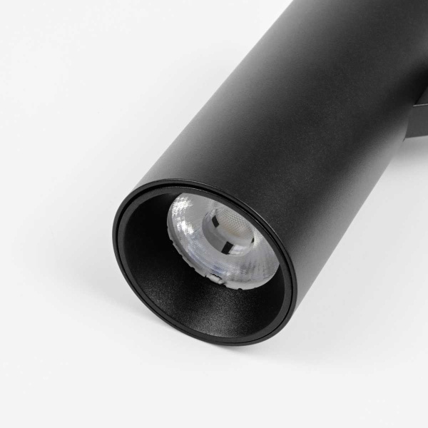 Трековый светильник Lightstar Due Hermes 210247