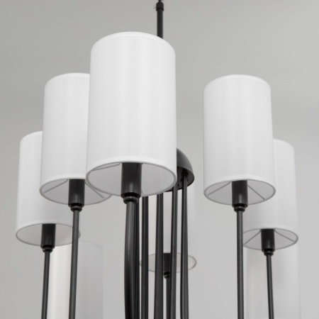 Подвесная люстра Eurosvet Abbey 60164/10 черный Smart