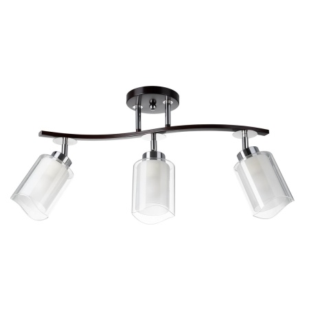 Спот Citilux Фортуна CL156132