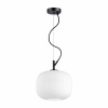 Подвесной светильник Odeon Light Pendant Roofi 4753/1
