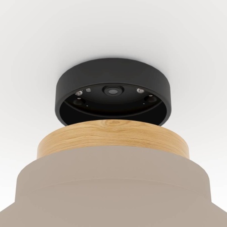 Потолочный светильник Eglo Moharras 900736