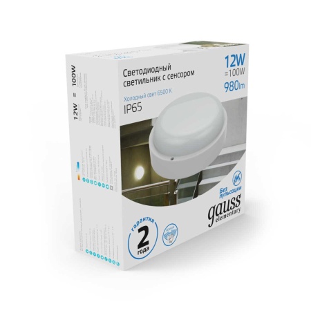 Потолочный светодиодный светильник Gauss Сауна 126411312