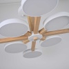 Потолочный светильник Imperium Loft TURNA-B01 228849-26
