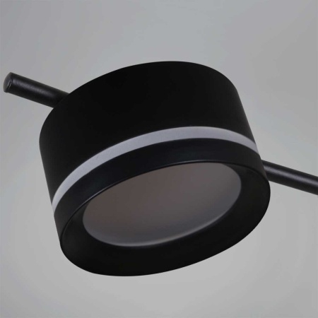 Потолочная люстра Reluce 10590-0.3-04 Black