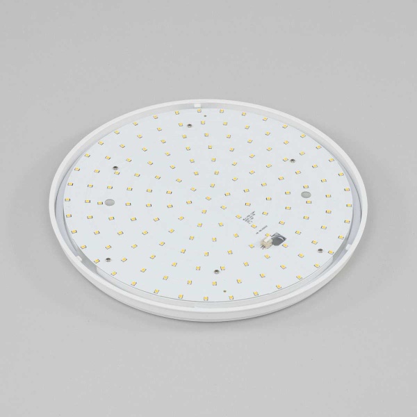 Потолочный светодиодный светильник Citilux Луна CL702221N