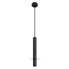 Подвесной светильник Loft IT Everest 10583A Black