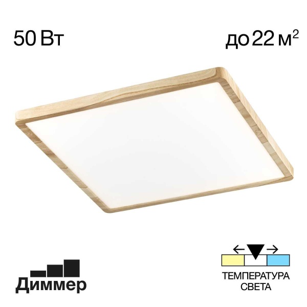 Светильник накладной Citilux Бейсик CL738K502V