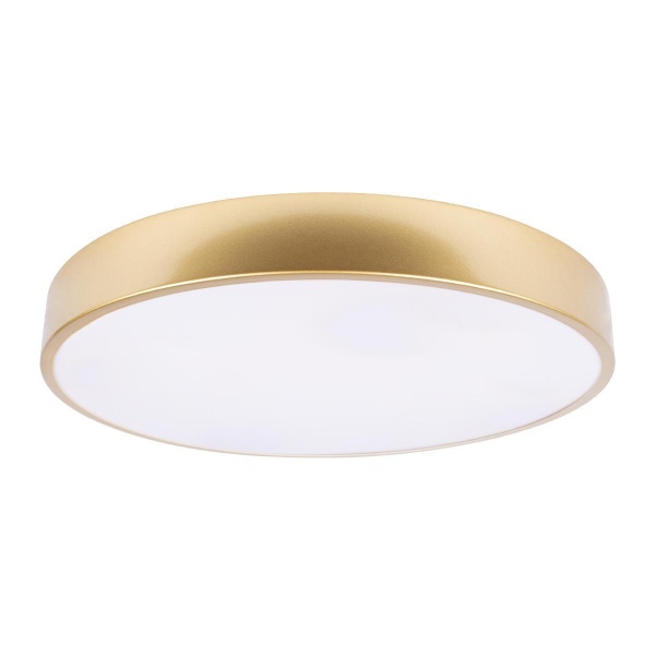 Потолочный светодиодный светильник Loft IT Flims 10228/A