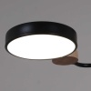 Светильник потолочный Reluce 03326-0.3-05 BK+WOOD