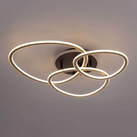 Потолочная люстра Citilux CL215B132