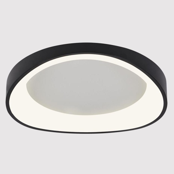 Потолочный светодиодный светильник Arte Lamp Sualocin A2698PL-60BK