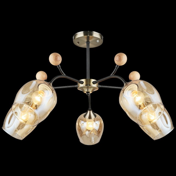 Потолочный светильник Reluce 02009-0.3-05 AB+BK