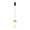 Подвесной светильник Freya Modern Iride FR5627PL-L8BBS