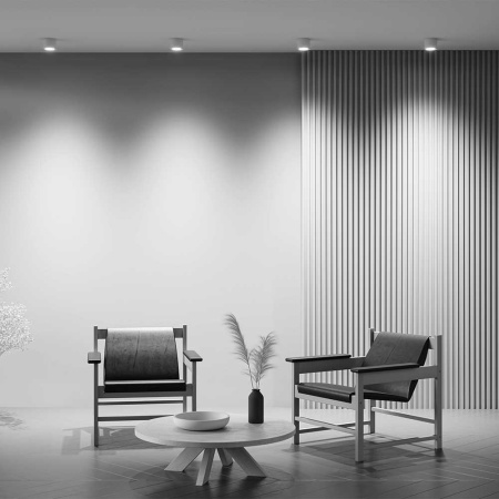 Потолочный светильник Maytoni Technical Rendo C095CL-GX53-W