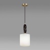 Подвесной светильник Odeon Light Exclusive Modern Pollen 5424/1