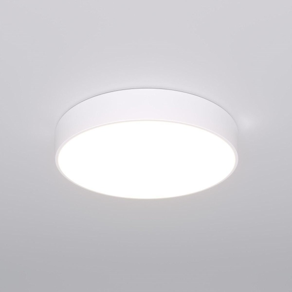 Потолочный светодиодный светильник Eurosvet Entire 90319/1 белый