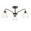 Потолочная люстра Ambrella light Traditional Modern TR9564