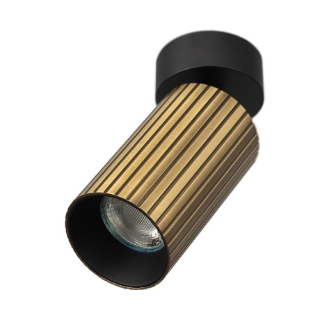 Спот Citilux Axel CL512213R