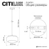 Светильник Citilux SIGNATURE CL247011