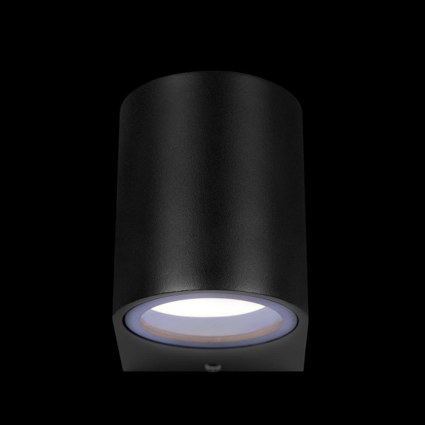 Уличный настенный светильник Loft IT Eterno 100006/A