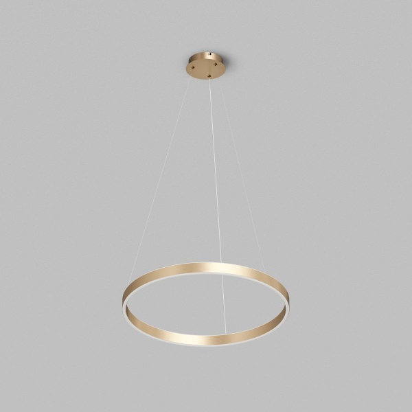 Подвесной светодиодный светильник Denkirs Raydia DK6273-SG