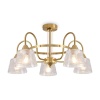 Потолочная люстра Freya Карамель / Caramel FR5522PL-05BS1