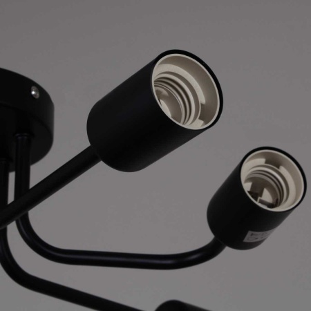 Светильник потолочный Reluce 01736-0.3-06 BK