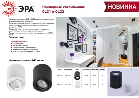 Накладной светильник ЭРА OL22 WH Б0054394