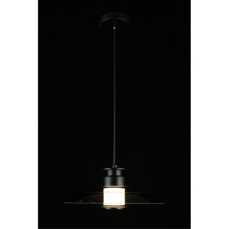 Подвесной светодиодный светильник Aployt Stefa APL.648.06.10